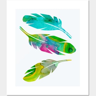 Bright feathers Posters and Art